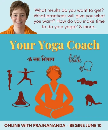 Your Yoga Coach - Sutra Studies